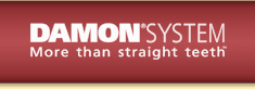damon sytem